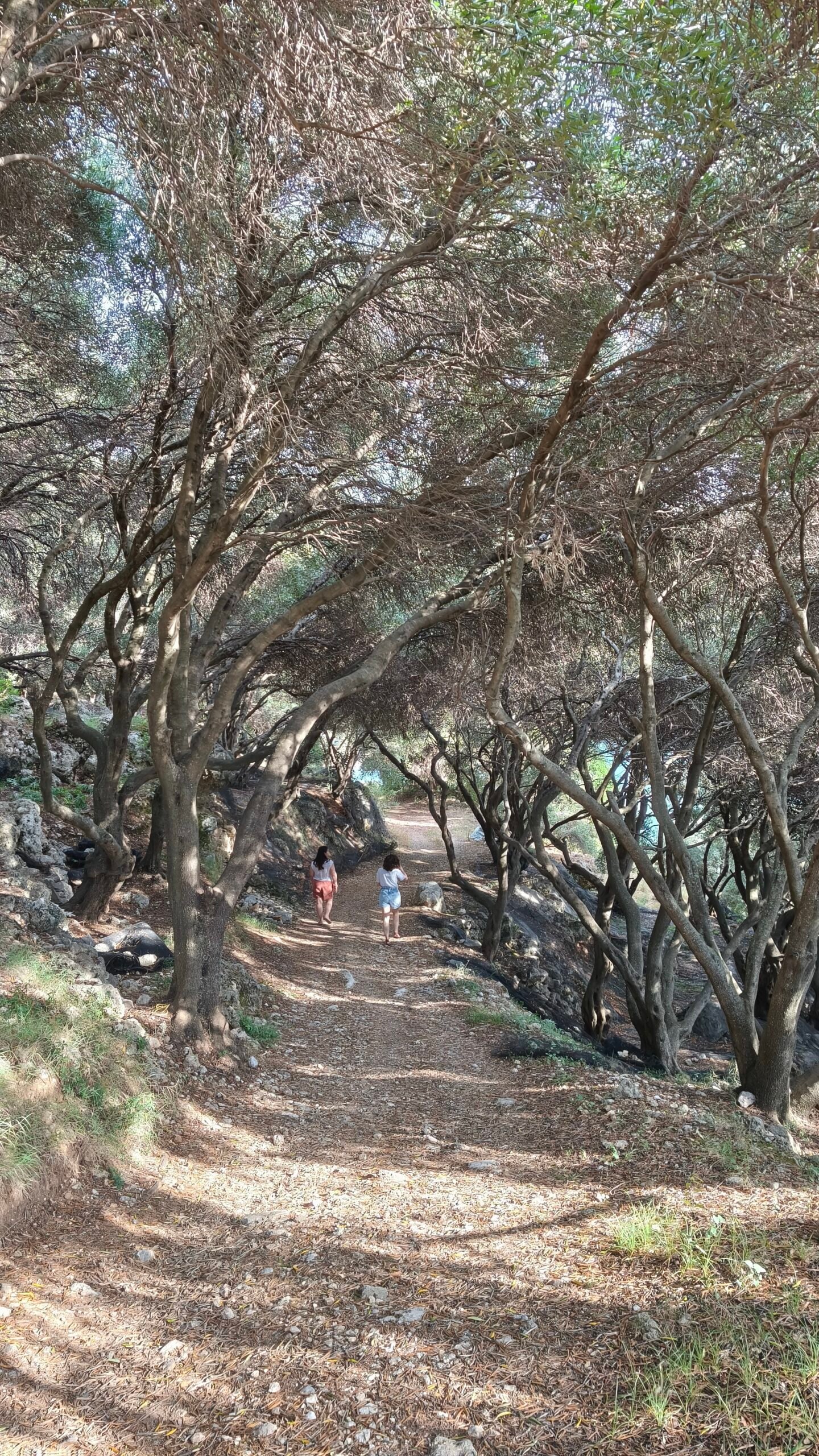 Secret Cove