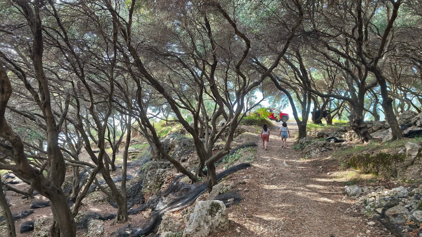 Hidden Trail